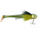 blackbug beetle tench