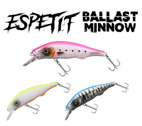 espetit ballast minnow 2024